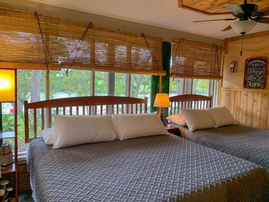 The River Haven - Sleeps 32 - On Guadalupe River سيغوين المظهر الخارجي الصورة
