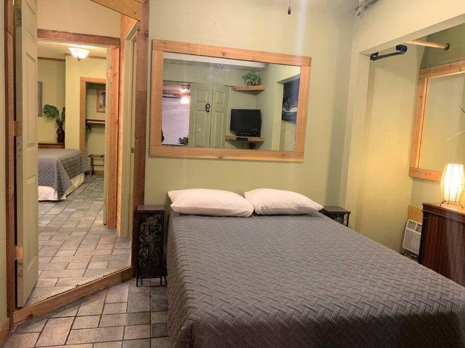 The River Haven - Sleeps 32 - On Guadalupe River سيغوين المظهر الخارجي الصورة