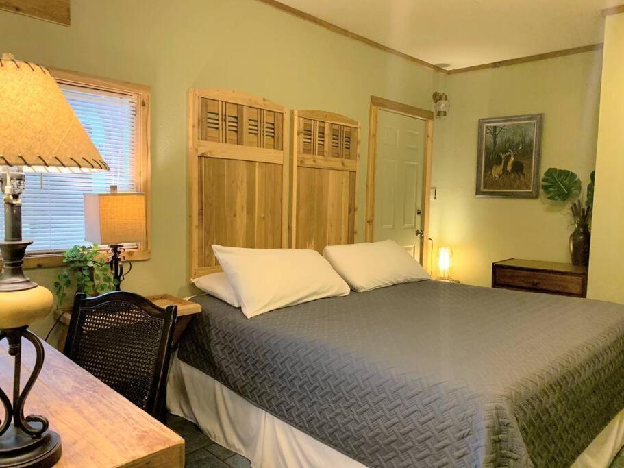 The River Haven - Sleeps 32 - On Guadalupe River سيغوين المظهر الخارجي الصورة