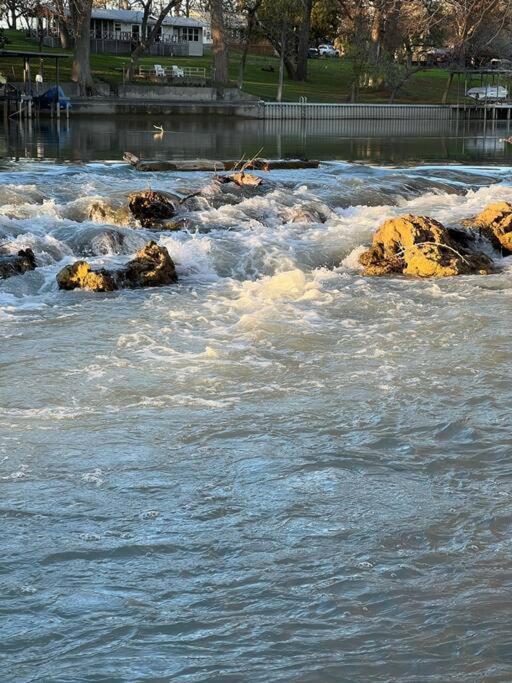 The River Haven - Sleeps 32 - On Guadalupe River سيغوين المظهر الخارجي الصورة
