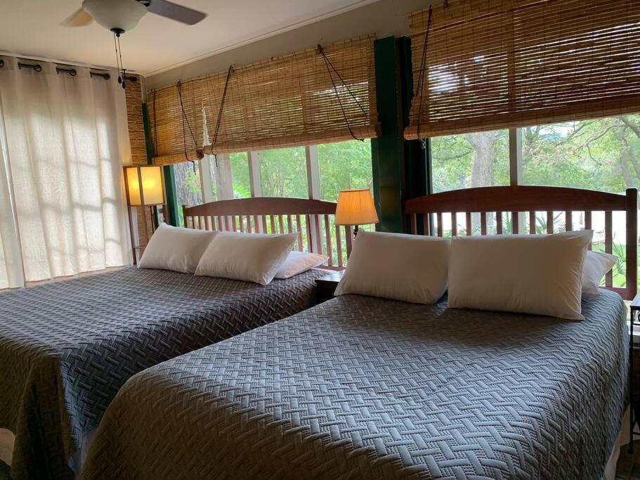 The River Haven - Sleeps 32 - On Guadalupe River سيغوين المظهر الخارجي الصورة