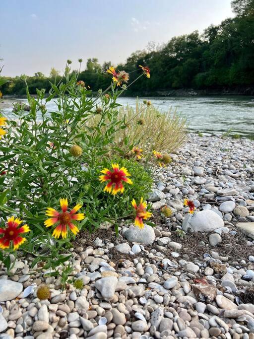 The River Haven - Sleeps 32 - On Guadalupe River سيغوين المظهر الخارجي الصورة