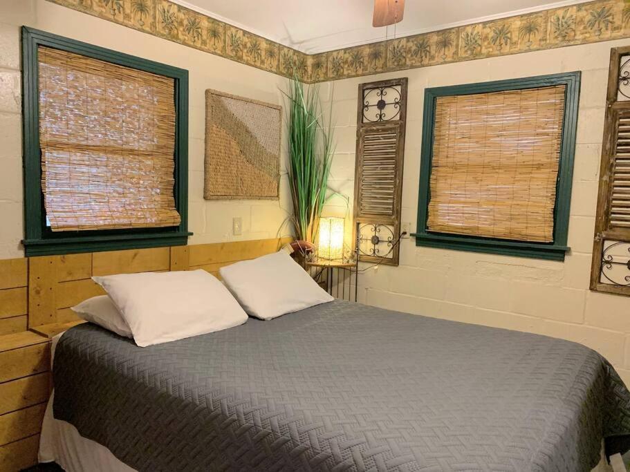 The River Haven - Sleeps 32 - On Guadalupe River سيغوين المظهر الخارجي الصورة